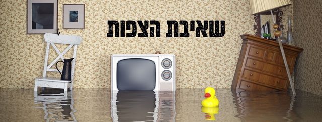 שאיבת-הצפות-מאמר-מקצועי